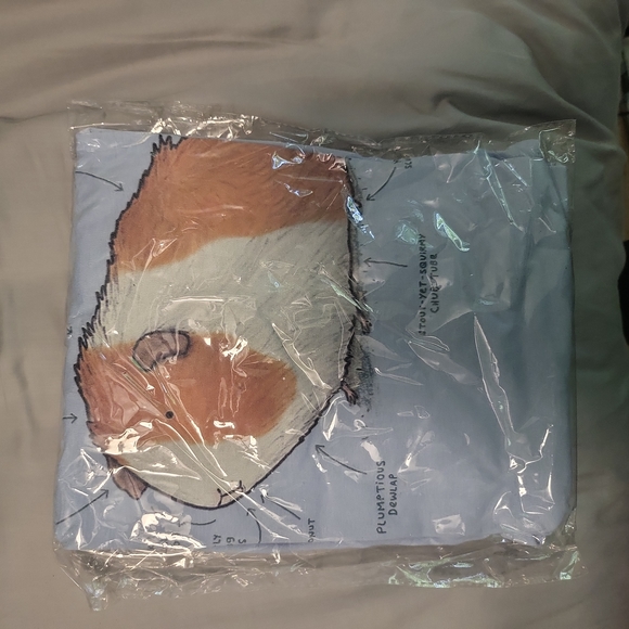 Anatomy of a Guinea Pig - Picture 3 of 4